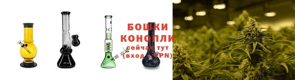 наркотики Каменногорск