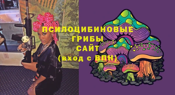 PSILOCYBIN Каменск-Шахтинский