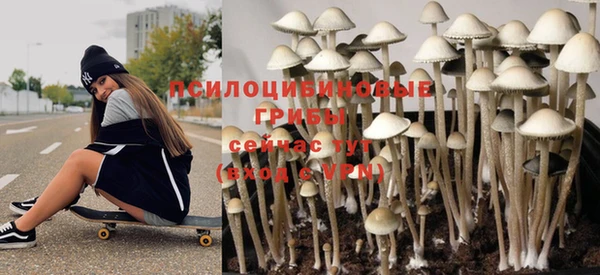 а пвп мука Каменка