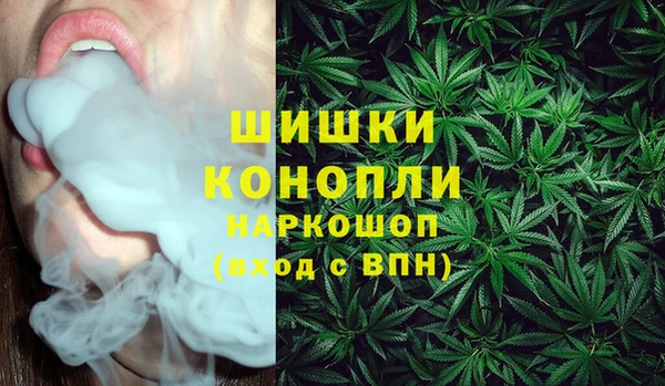 PSILOCYBIN Каменск-Шахтинский