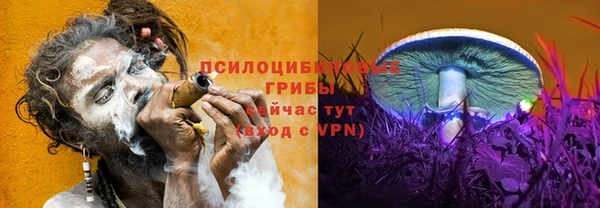PSILOCYBIN Каменск-Шахтинский