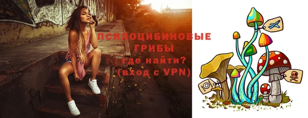 а пвп мука Каменка