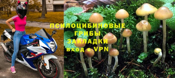 а пвп мука Каменка