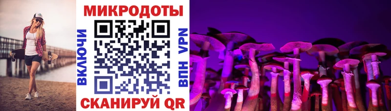 Псилоцибиновые грибы GOLDEN TEACHER  Купить  Касли 